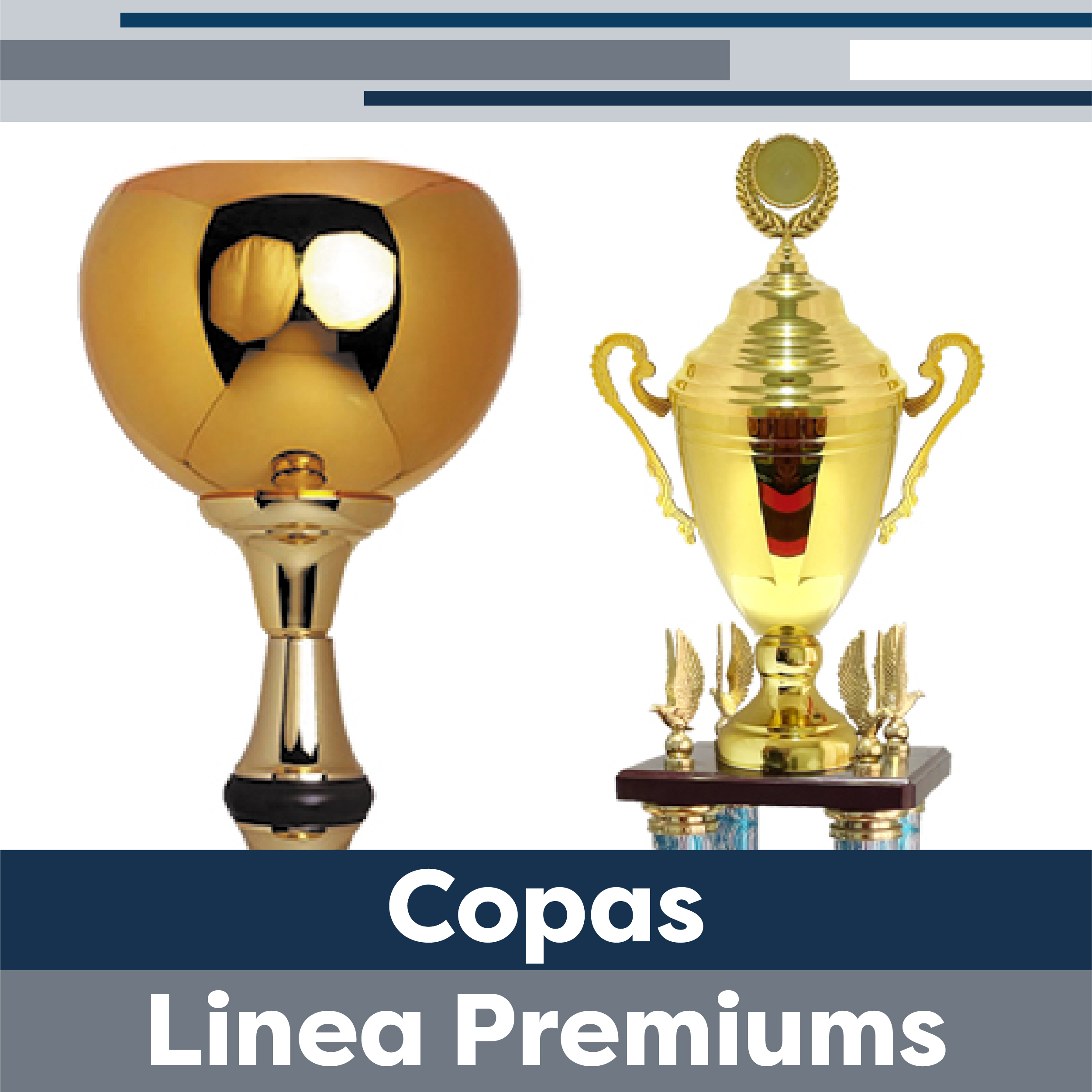 Linea Premiums
