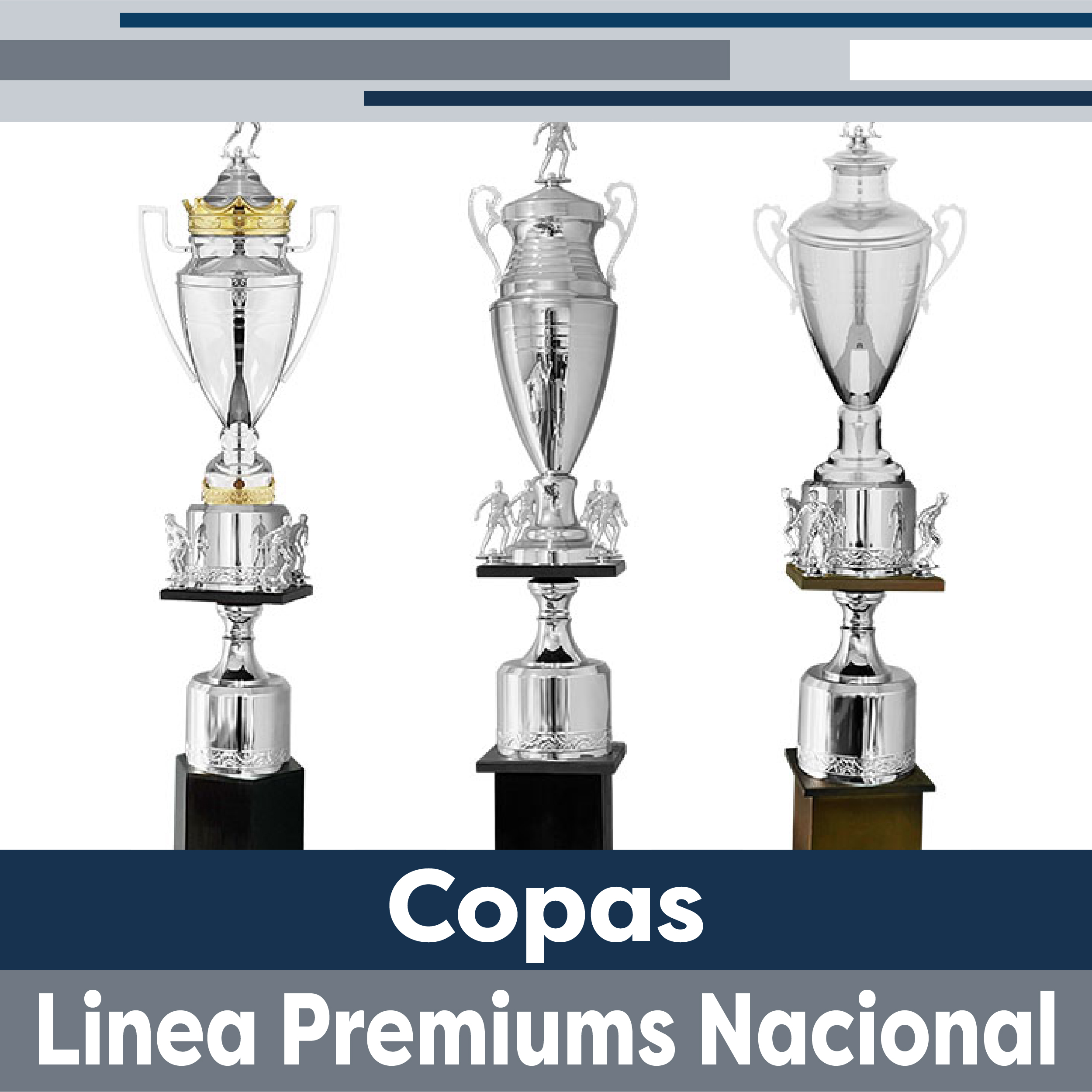 Linea Premiums Nacional